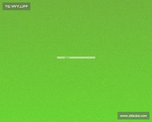 世界杯本泽马FIFA赛场传奇回顾与法国锋线风采解析深度解析篇